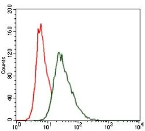 Anti-HSF4 antibody [2E7] used in Flow cytometry (FCM). GTX60581