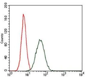 Anti-C/EBP alpha antibody [5B7] used in Flow cytometry (FCM). GTX60584