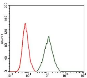 Anti-RAP1A antibody [5F8] used in Flow cytometry (FCM). GTX60585