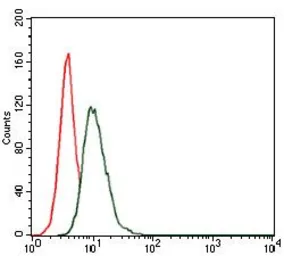 Anti-Hsp90 alpha antibody [5G5] used in Flow cytometry (FCM). GTX60587