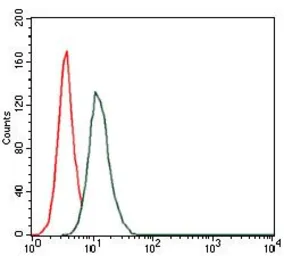 Anti-HAS3 antibody [3C9] used in Flow cytometry (FCM). GTX60588