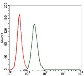 Anti-c-Fos antibody [2G2] used in Flow cytometry (FCM). GTX60591
