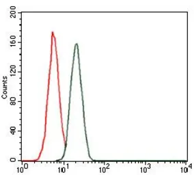 Anti-Cardiac Troponin T antibody [1G1] used in Flow cytometry (FCM). GTX60592