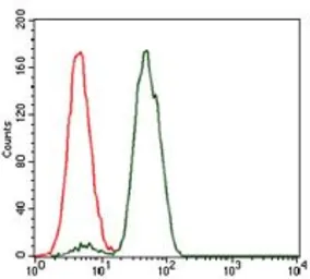 Anti-NCK1 antibody [5B7] used in Flow cytometry (FCM). GTX60593