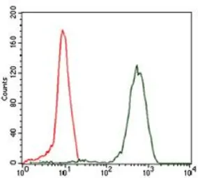 Anti-eIF4B antibody [1F5] used in Flow cytometry (FCM). GTX60596