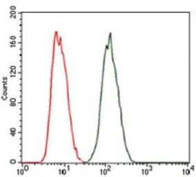Anti-PKA C gamma antibody [2E4] used in Flow cytometry (FCM). GTX60597