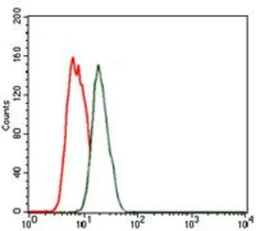 Anti-Nkx2.2 antibody [3E4] used in Flow cytometry (FCM). GTX60598