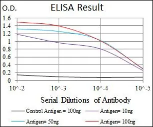 Anti-RAB4A antibody [4E11] used in ELISA (ELISA). GTX60601