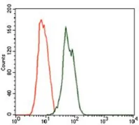 Anti-RAB4A antibody [4E11] used in Flow cytometry (FCM). GTX60601