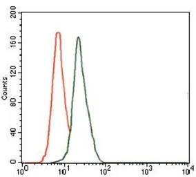 Anti-DLL4 antibody [4A11] used in Flow cytometry (FCM). GTX60604