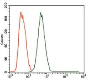 Anti-MELK antibody [2G2] used in Flow cytometry (FCM). GTX60605