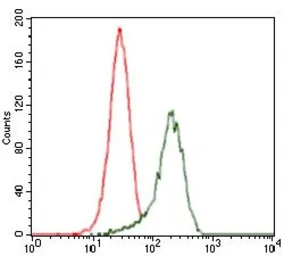 Anti-Shh antibody [5H4] used in Flow cytometry (FCM). GTX60606