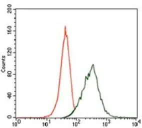 Anti-MAP2 antibody [5B7] used in Flow cytometry (FCM). GTX60608