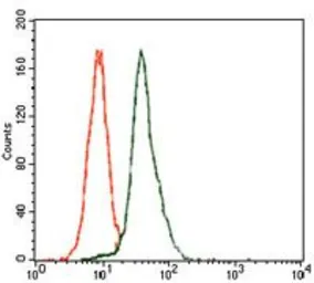 Anti-E2F1 antibody [8G9] used in Flow cytometry (FCM). GTX60615