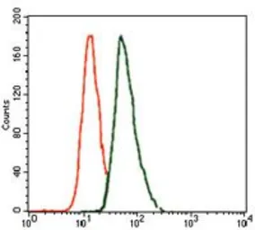 Anti-Brachyury antibody [6C12] used in Flow cytometry (FCM). GTX60616