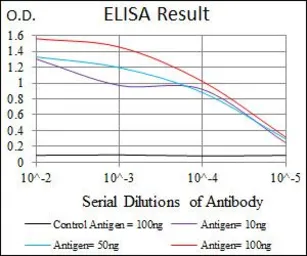 Anti-INCENP antibody [3D2] used in ELISA (ELISA). GTX60619