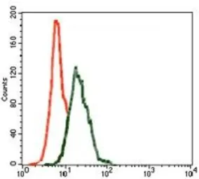 Anti-INCENP antibody [3D2] used in Flow cytometry (FCM). GTX60619