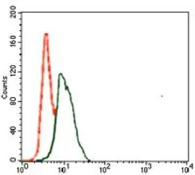 Anti-PU.1 antibody [5C7] used in Flow cytometry (FCM). GTX60620