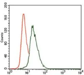 Anti-VAV1 antibody [2E11] used in Flow cytometry (FCM). GTX60621