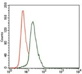 Anti-Cytokeratin 13 antibody [3G4] used in Flow cytometry (FCM). GTX60622