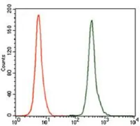 Anti-GCNF antibody [4G8] used in Flow cytometry (FCM). GTX60623