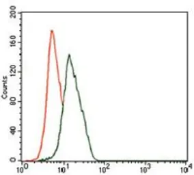 Anti-NSE antibody [5D3] used in Flow cytometry (FCM). GTX60625