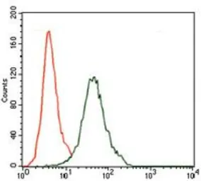 Anti-CD5 antibody [6A11] used in Flow cytometry (FCM). GTX60631