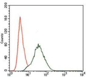 Anti-PI3 kinase p85 alpha antibody [6G10] used in Flow cytometry (FCM). GTX60633