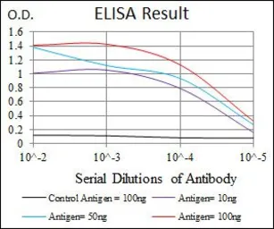 Anti-CSNK2A2 antibody [1E1] used in ELISA (ELISA). GTX60636
