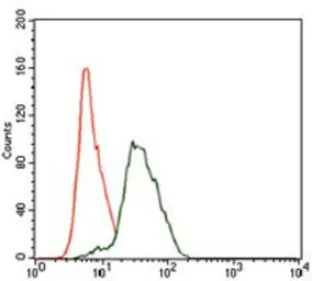 Anti-PTK9 antibody [7C11] used in Flow cytometry (FCM). GTX60638