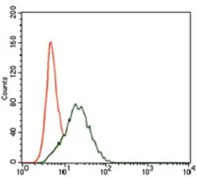 Anti-SHP2 antibody [6D9] used in Flow cytometry (FCM). GTX60640