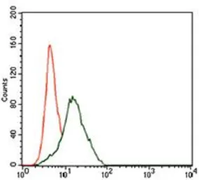 Anti-Frizzled 5 antibody [2D12] used in Flow cytometry (FCM). GTX60642