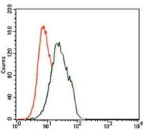 Anti-FOXP1 antibody [6E4] used in Flow cytometry (FCM). GTX60643