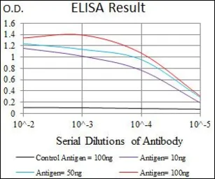 Anti-HAS2 antibody [4E7] used in ELISA (ELISA). GTX60647