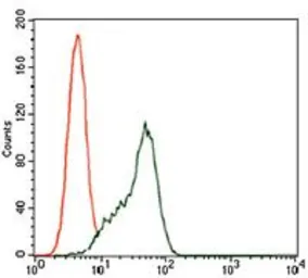Anti-STAT5A antibody [6D4] used in Flow cytometry (FCM). GTX60652