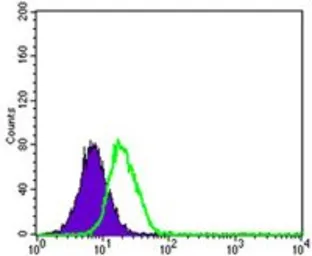 Anti-Pancreatic Polypeptide antibody [2G5D12] used in Flow cytometry (FCM). GTX60662