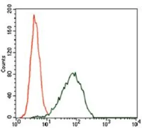Anti-CDKN2A / p16INK4a antibody [1D7D2] used in Flow cytometry (FCM). GTX60663