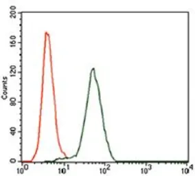 Anti-KEAP1 antibody [7G4B10] used in Flow cytometry (FCM). GTX60664