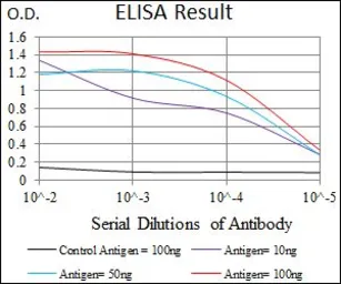 Anti-MEF2C antibody [6H2G2] used in ELISA (ELISA). GTX60668