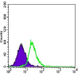 Anti-MEF2C antibody [6H2G2] used in Flow cytometry (FCM). GTX60668