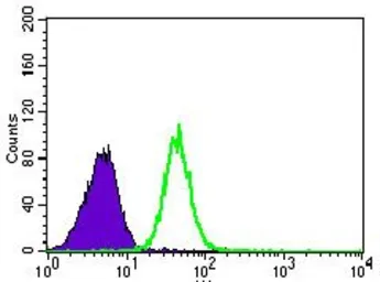 Anti-PSAP antibody [4D5F4] used in Flow cytometry (FCM). GTX60673