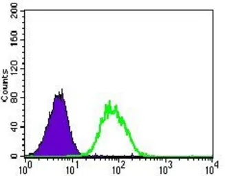 Anti-Nestin antibody [1A9G12] used in Flow cytometry (FCM). GTX60677