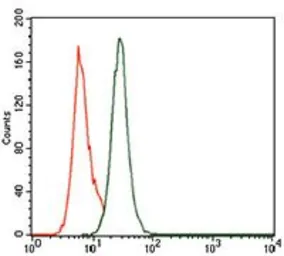 Anti-PCNA antibody [7H4F8] used in Flow cytometry (FCM). GTX60692