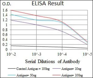 Anti-C17ORF53 antibody [7A3A9] used in ELISA (ELISA). GTX60709