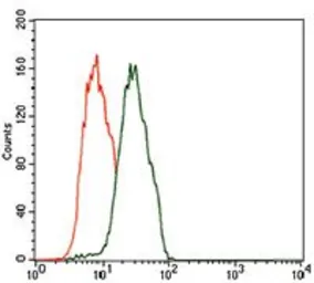 Anti-C17ORF53 antibody [7A3A9] used in Flow cytometry (FCM). GTX60709