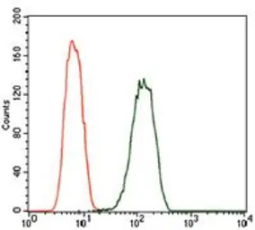 Anti-PDE1B antibody [5C4A3] used in Flow cytometry (FCM). GTX60718