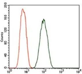 Anti-DCTN4 antibody [3G9D7] used in Flow cytometry (FCM). GTX60723