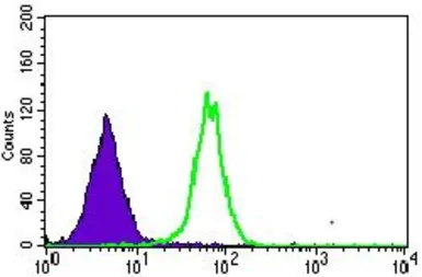 Anti-MRPL42 antibody [3H6G11] used in Flow cytometry (FCM). GTX60735