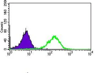 Anti-CD33 antibody [2C6B7] used in Flow cytometry (FCM). GTX60744