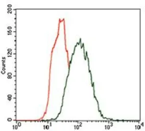 Anti-Cytokeratin 5 antibody [2C2B4] used in Flow cytometry (FCM). GTX60749
